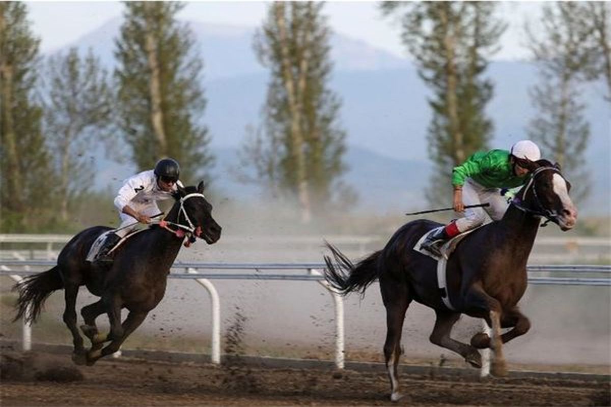 کورس سوارکاری