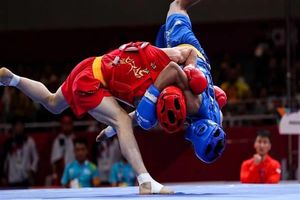 کسب مدال طلای مسابقات ووشو قهرمانی کشور توسط ورزشکار کرمانشاهی