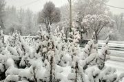 بارش برف در شهرستانهای غربی استان اصفهان / بارش 15 سانتیمتری برف در فریدونشهر