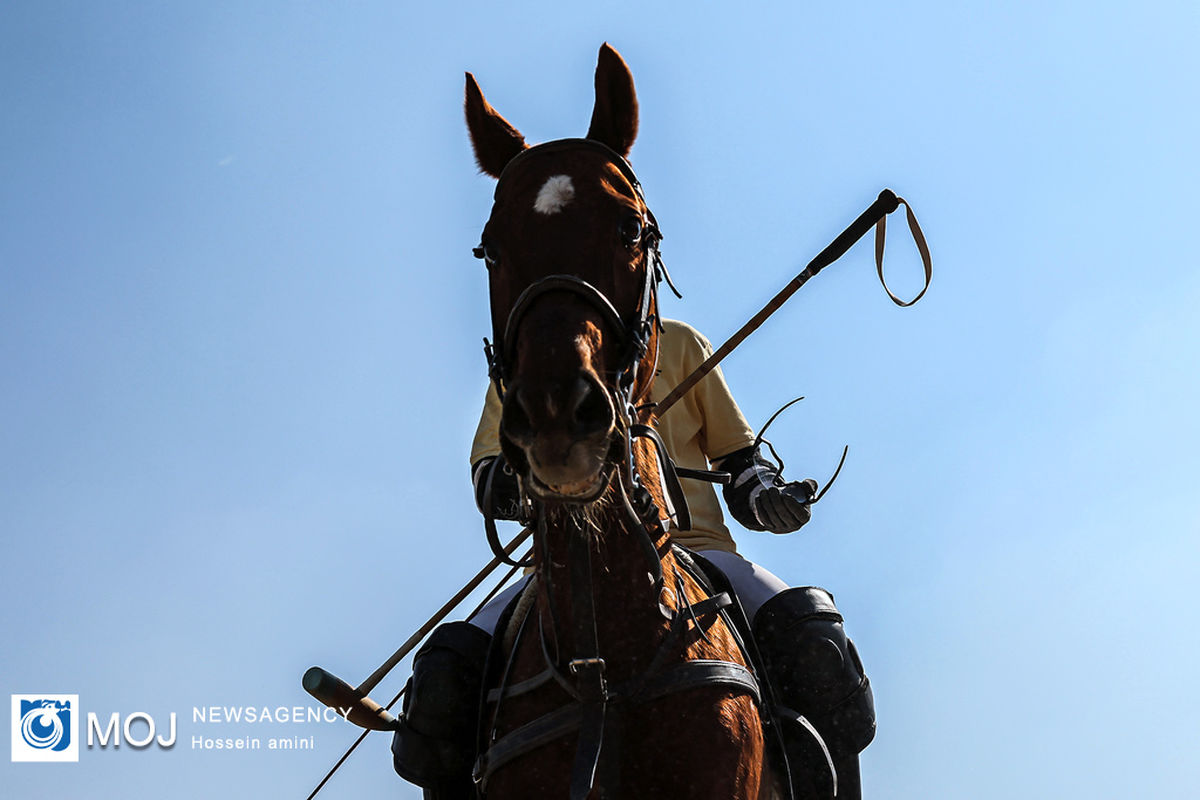 لیگ ملی چوگان،گرامیداشت دهه مبارک فجر