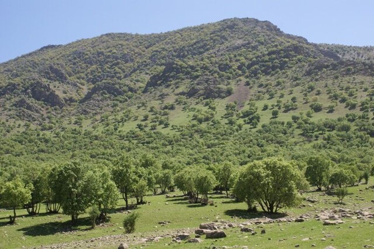 سوء استفاده از اراضی ملی