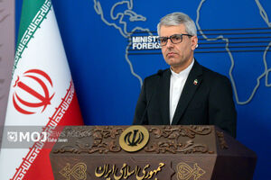 سخنگوی وزارت امور خارجه با سفیر ایران در کاراکاس گفتگو کرد