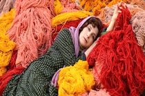 نمایش فیلم سینمایی بنفشه آفریقایی در آمریکا و کانادا