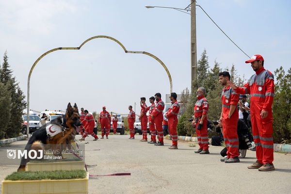 ۵۰ هزار نفر از طرح حمایت دارویی و درمانی هلال‌احمر بهره‌مند شدند
