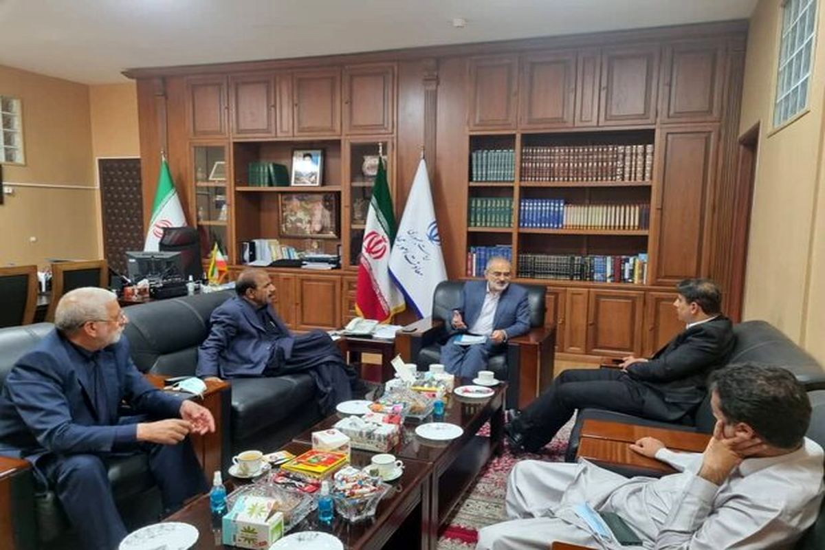 سید محمد حسینی