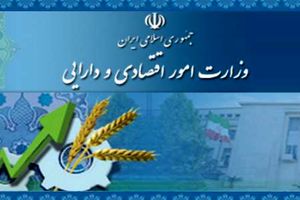 تشریح اقدامات وزارت اقتصاد در زمینه چالش فیش‌های حقوقی