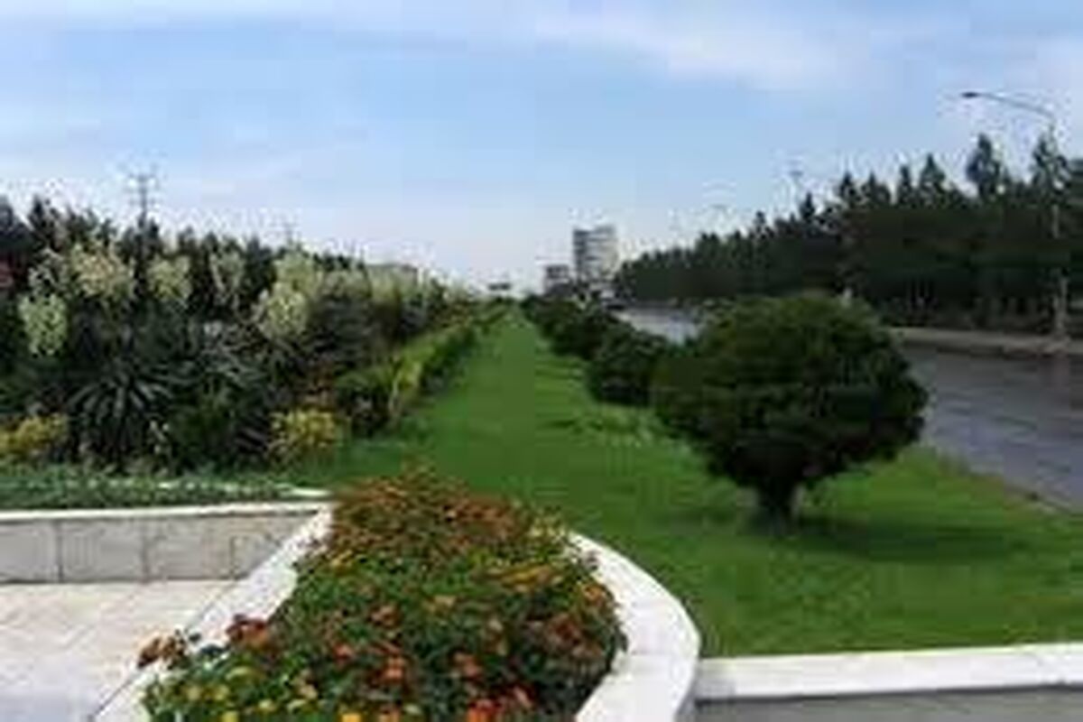توسعه فضای سبز
