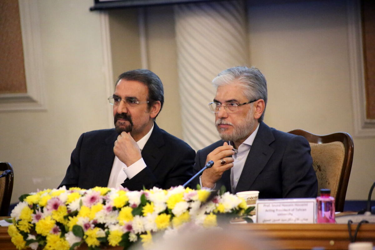 مهدی سنایی، مشاور سیاسی رئیس جمهور