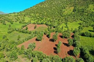 حفاظت از اراضی ملی در اردبیل روند مطلوبی دارد