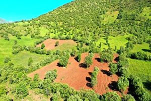 اتمام تثبیت و مستند سازی اراضی ملی در 3 شهرستان اردبیل