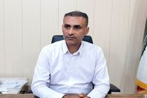 اجرای شبکه خودنگدار برای کاهش سرقت کابل در میناب