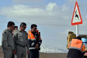 تابلوهای هشدار عبور حیوانات وحشی در محورهای مواصلاتی شهرستان دلفان نصب شد