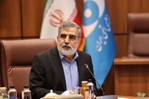 حق ایران است که از فناوری صلح‌آمیز هسته‌ای برخوردار باشد