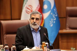 شکوفا شدن صنعت هسته ای کشور در دستور کار است