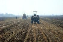 اجرای طرح های کشاورزی حفاظتی در مزارع پاییزه استان قزوین