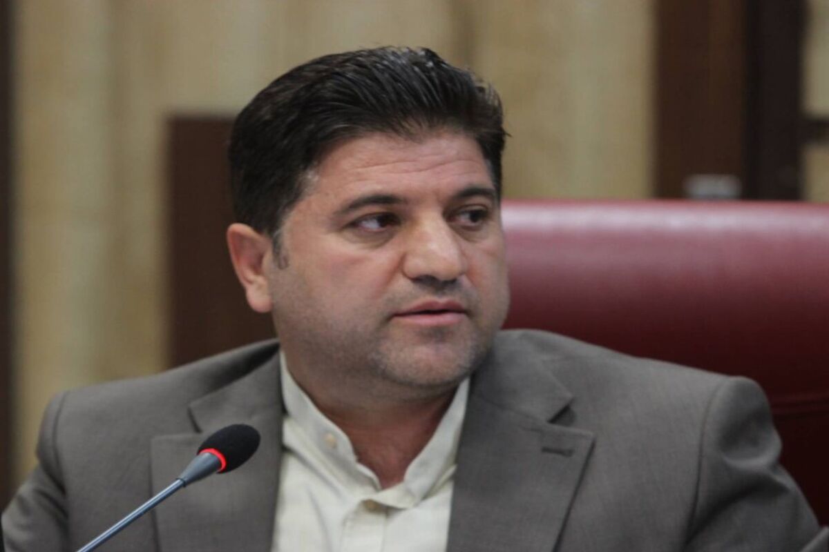 شریفی