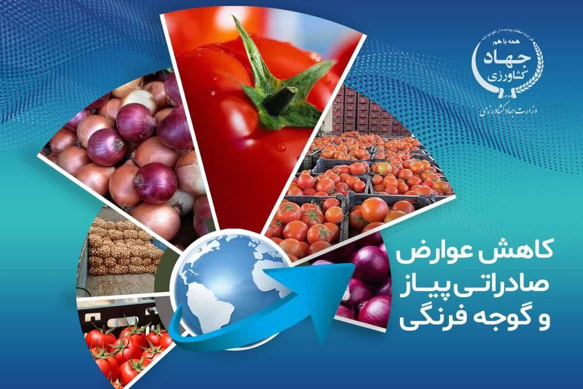 وزارت جهاد