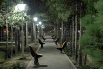 تکمیل روشنایی معابر و بوستان‌های منطقه ۲