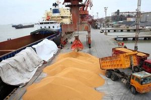 تخلیه‌ و بارگیری بیش از ۵۴ میلیون تُن کالا در بندر شهید رجایی