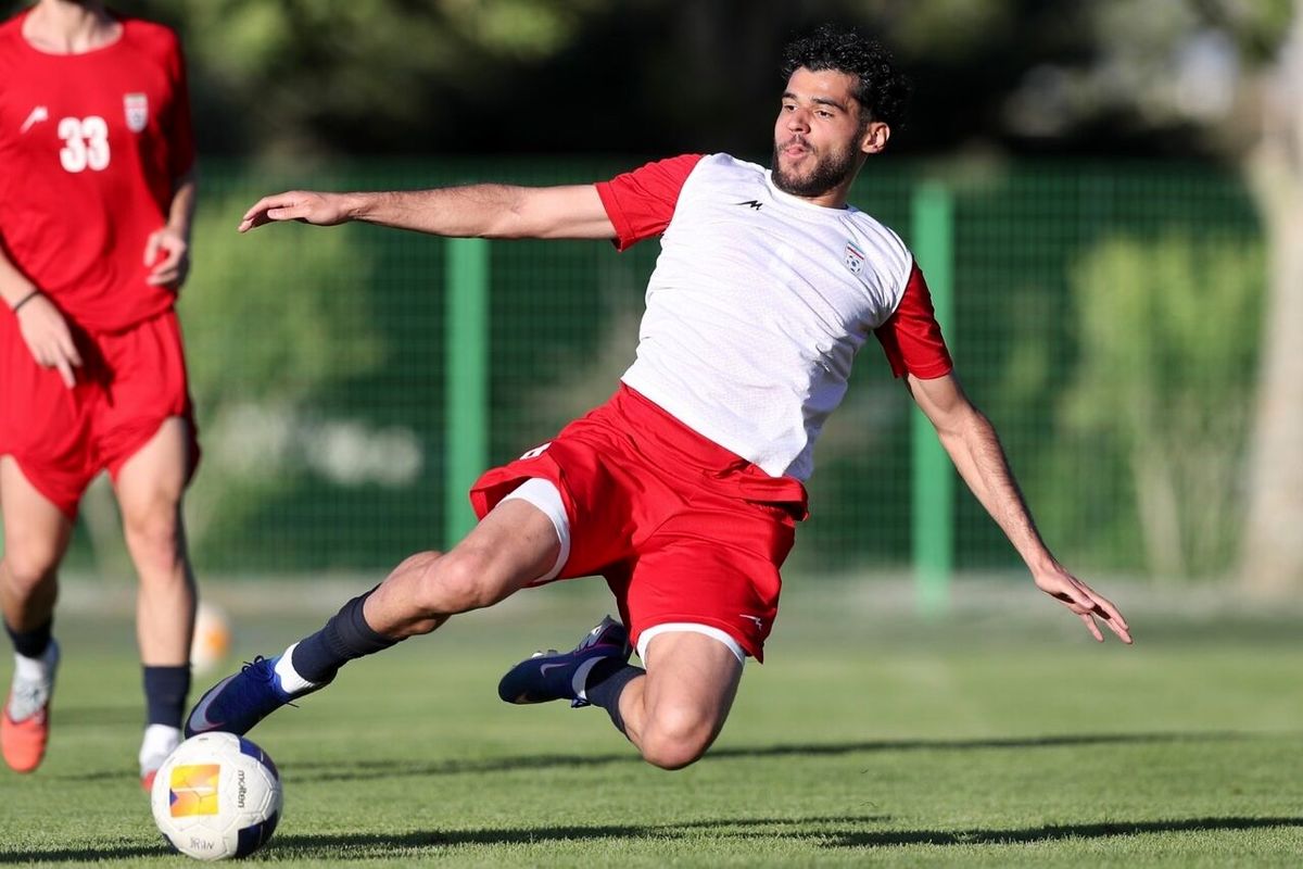 محمد مهدی زارع