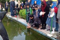 ماهی قرمز؛ تهدیدی برای اکوسیستم‌های آبی