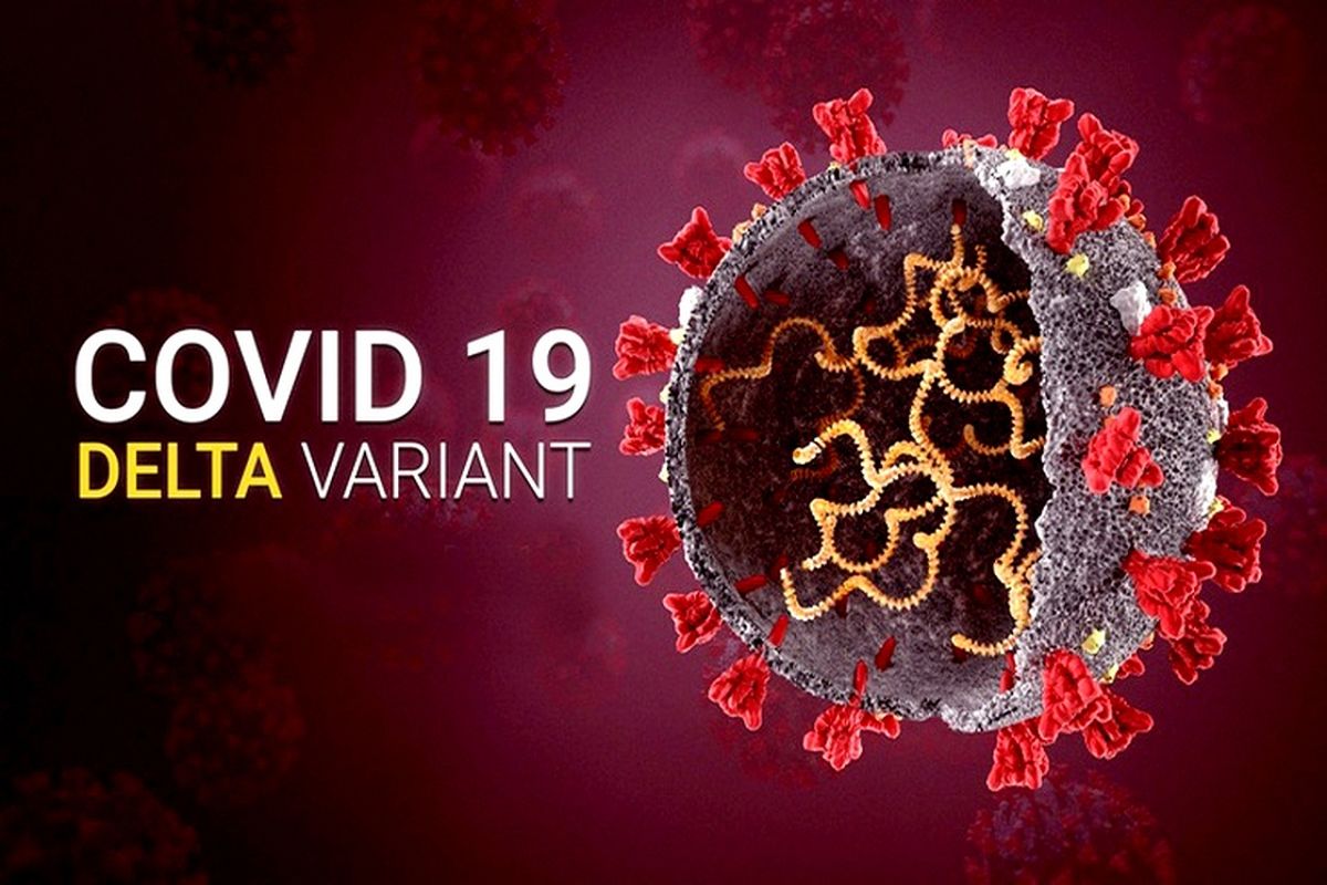 کرونا دلتا