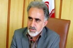 گاز رسانی به ۲۵۰ روستای لرستان در برنامه اقتصاد مقاومتی