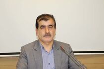 طرح تحول نظام سلامت نیازمند توجه نمایندگان مجلس  در بودجه سال 97 است