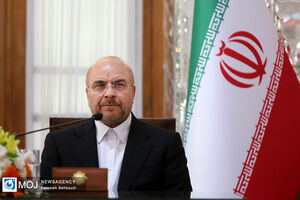  فرصت‌های بزرگ مجمع پارلمانی بریکس نباید از دست برود