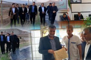 بررسی میدانی بازار ، وضعیت آرد و نان و تسهیل و رفع موانع تولید در آبدانان 