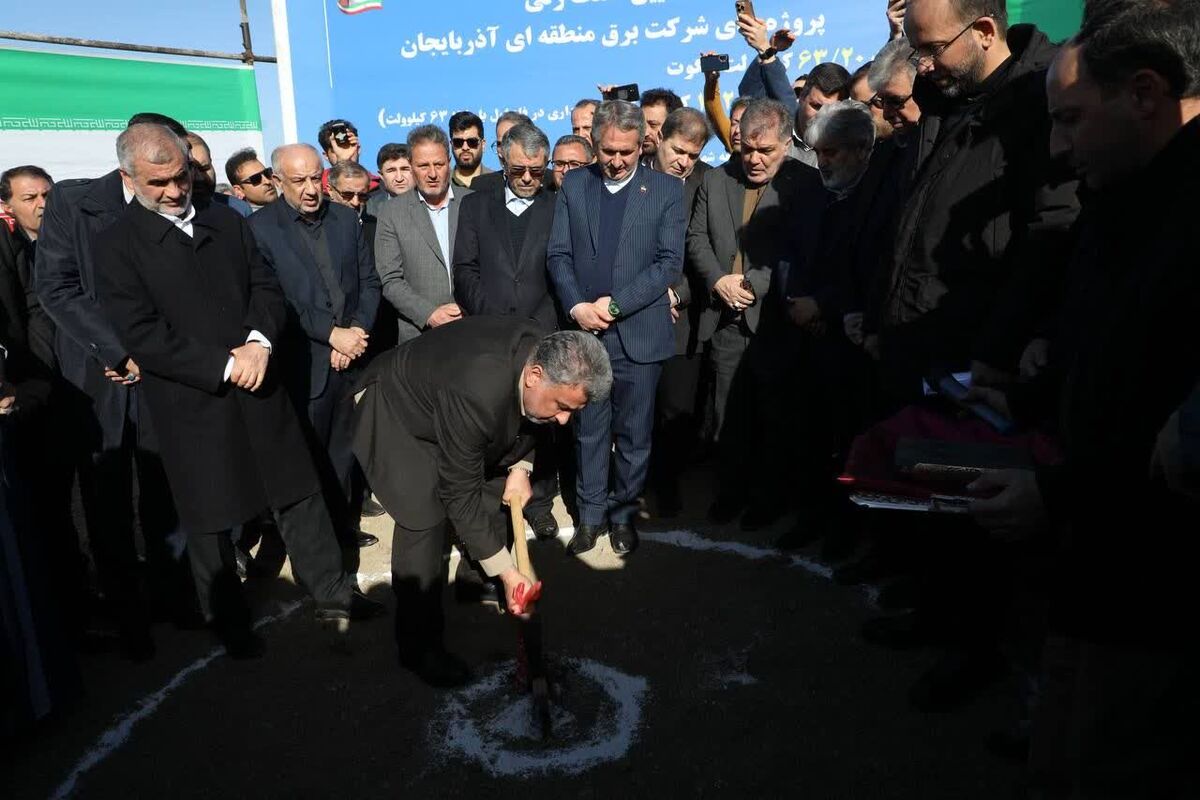 مدیر عامل شرکت توانیر 