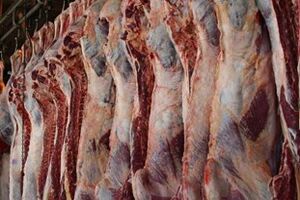 داستان گرانی گوشت قرمز زیر سر کیست؟/ مردم رژیم گوشتی گرفته اند