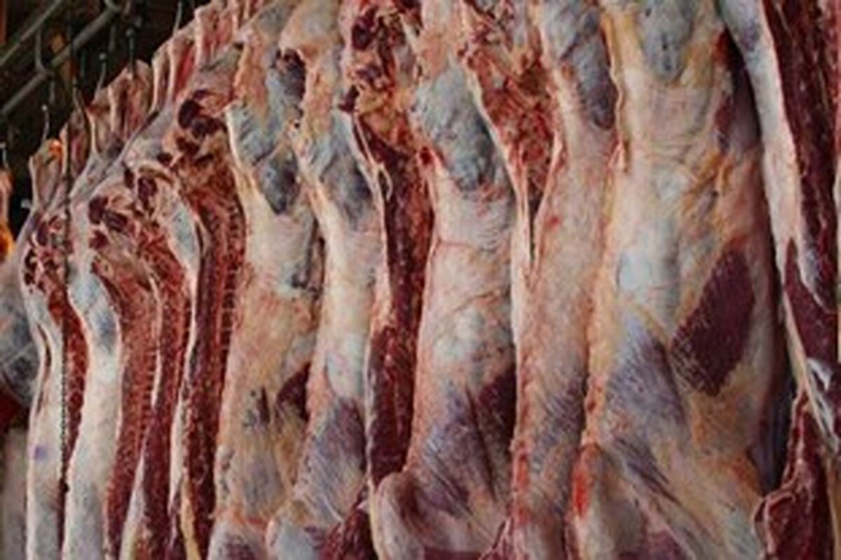 گوشت قرمز