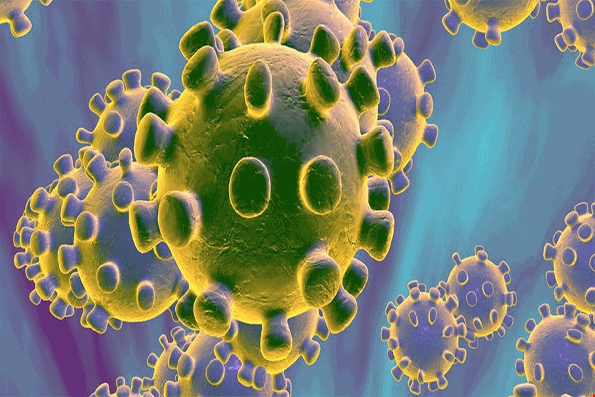 کرونا