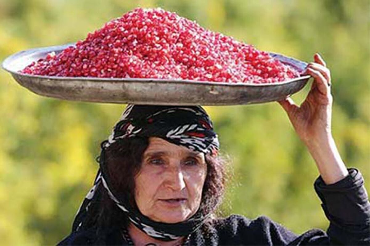باغداری لرستان