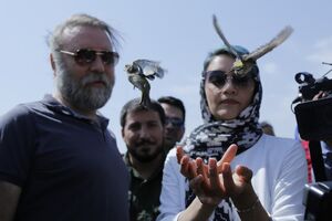 100 جانور از گونه های مختلف در زیستگاه های خود رها سازی شدند 
