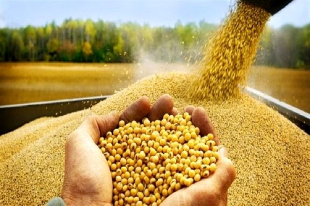 نهاده‌های کشاورزی