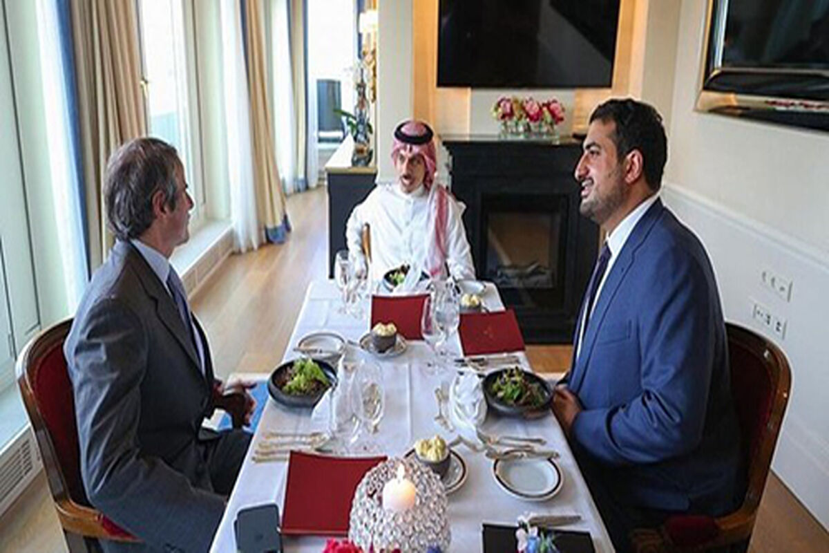دیدار فیصل بن فرحان با رافائل گروسی