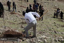 از ظرفیت‌های مردمی در طرح کاشت یک میلیارد درخت استفاده می‌کنیم