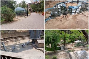 مراکز نگهداری حیات وحش در شهر تهران بازدید سرزده شد