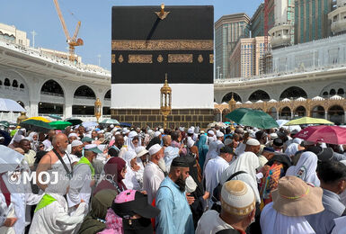 سلامت و امنیت زائران خط قرمز سازمان حج و زیارت است 