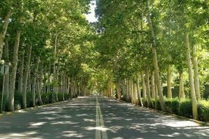 چهارباغ هم قرمز شد