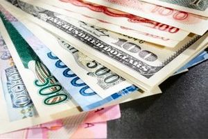 مبارزه با رانت ارزی تنها در قامت سیاست‌های دولت است