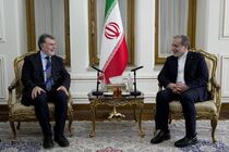 دیدار سفیر ترکیه با عراقچی 
