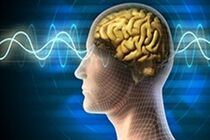 مدلسازی عملکرد مغز به وسیله تولید تراشه 