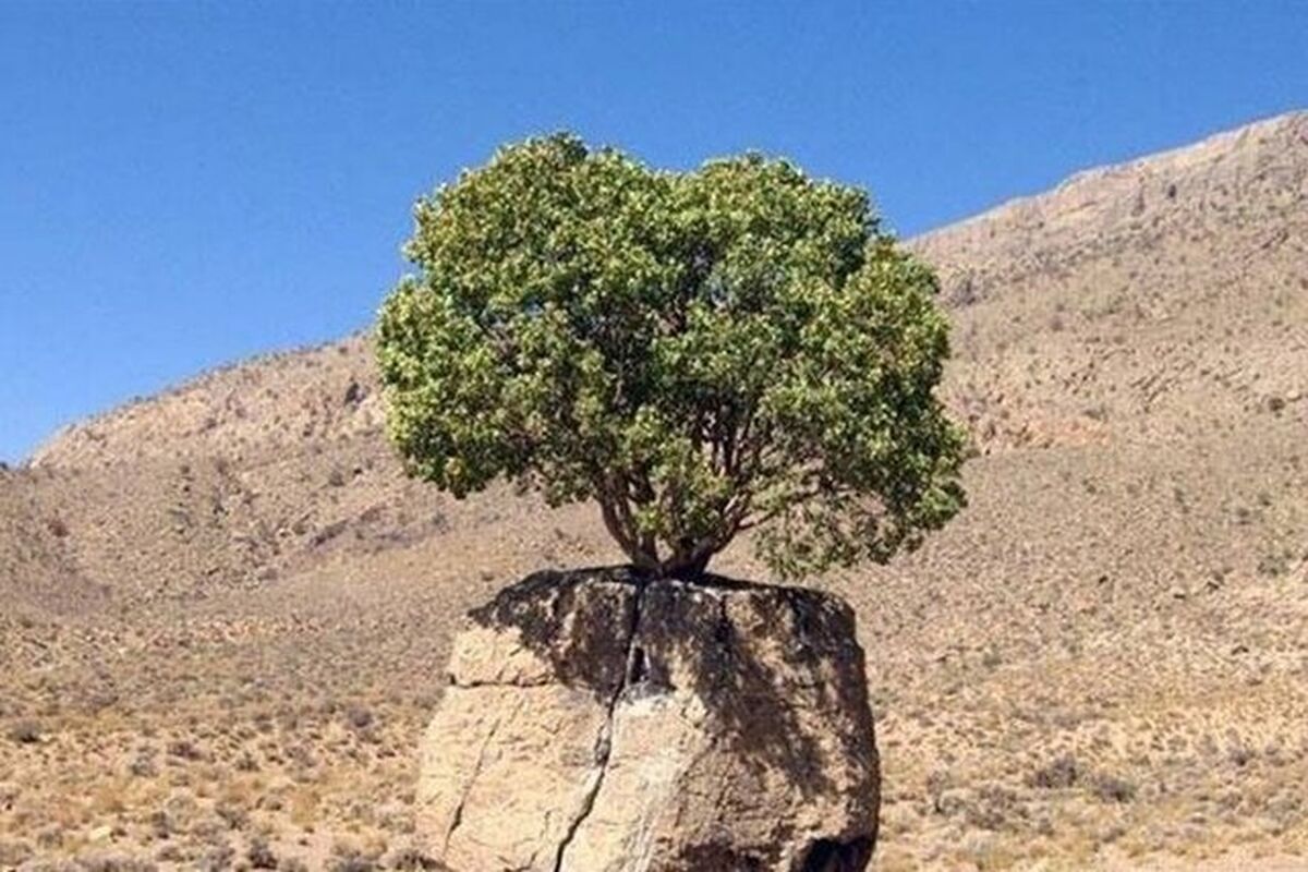 میراث فرهنگی فارس