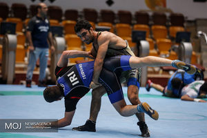 برترین فرنگی کاران ماه جهان مشخص شدند