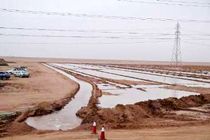  وزارت نفت در اجرای طرح مقابله با ریزگردها مشارکت می کند