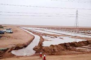  وزارت نفت در اجرای طرح مقابله با ریزگردها مشارکت می کند