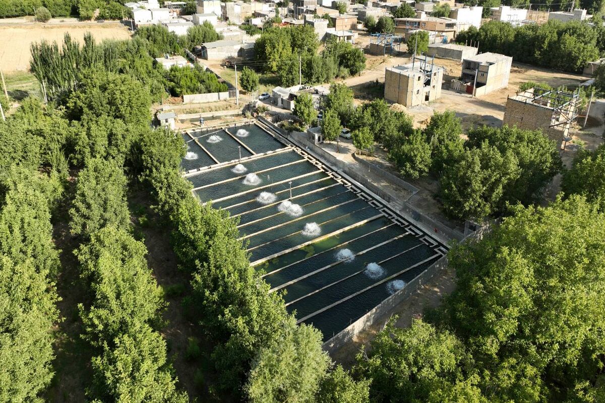 بنیاد برکت
